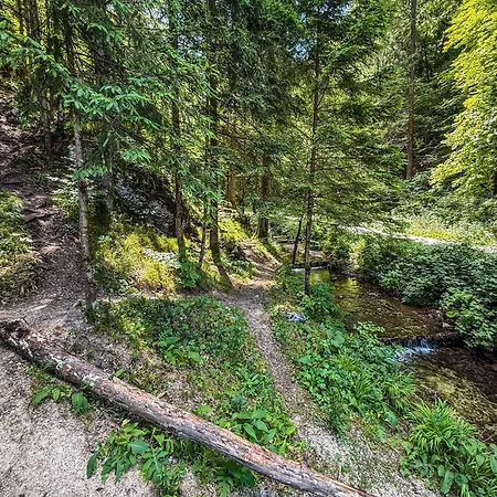 Rocky Meadow - Place For Pruzina