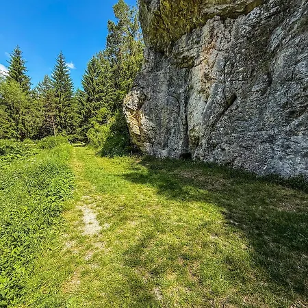 Rocky Meadow - Place For Pruzina